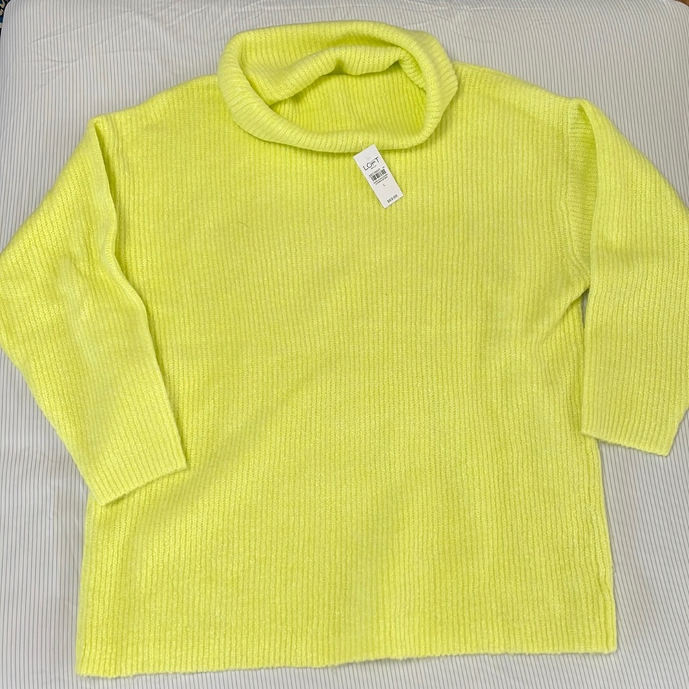 NWT Oversized Loft Turtleneck